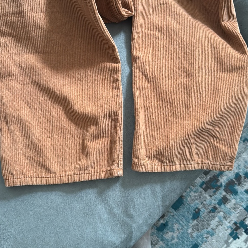 Pacsun corduroy baggy pants - Picture 5 of 5